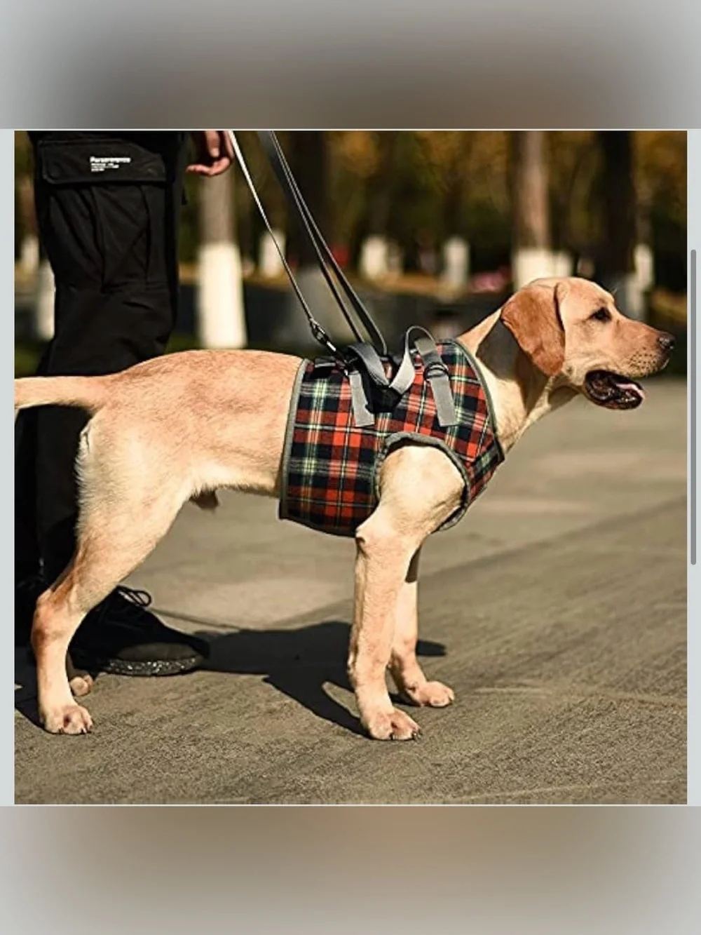 ROZKITCH Dog Lift Harness, Grid Pet Chest Support Aid Small. 2562/bb14-1